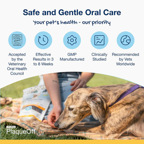 ProDen PlaqueOff Dental Bones for Dogs - Bacon Flavored - 17 oz