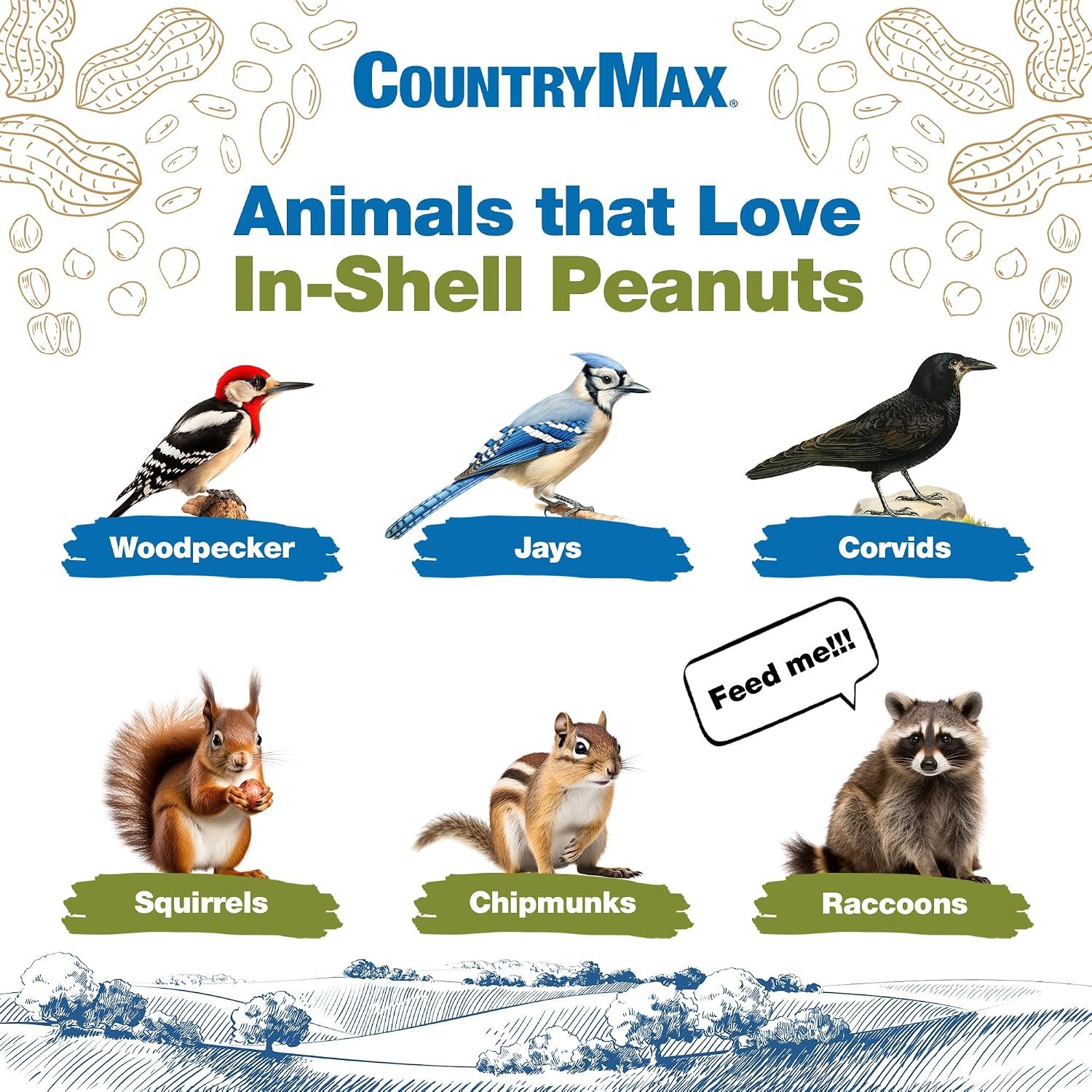 CountryMax 25LB in-Shell Raw Peanuts for Wildlife & Squirrels