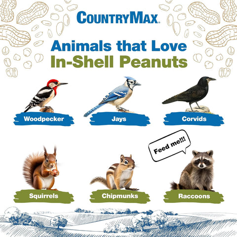 CountryMax 25LB in-Shell Raw Peanuts for Wildlife & Squirrels