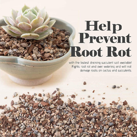 Bonsai Jack Succulent, Cactus and Bonsai Soil - Jacks Gritty Mix - 1 Gallon – Fast Draining – Fight Root Rot – Optimized pH …