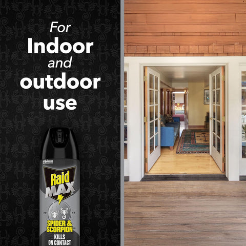 Raid MAX Spider & Scorpion Insect Killer Spray, 12 oz