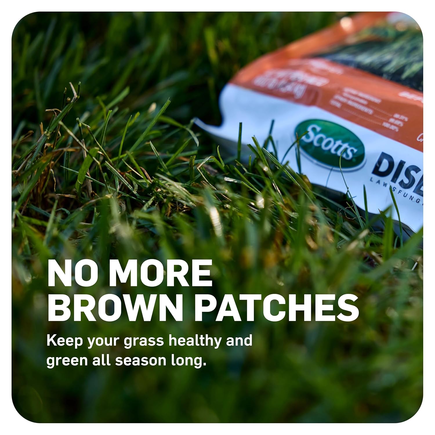 Scotts DiseaseEx Lawn Fungicide, 10 lbs. (2-Pack)