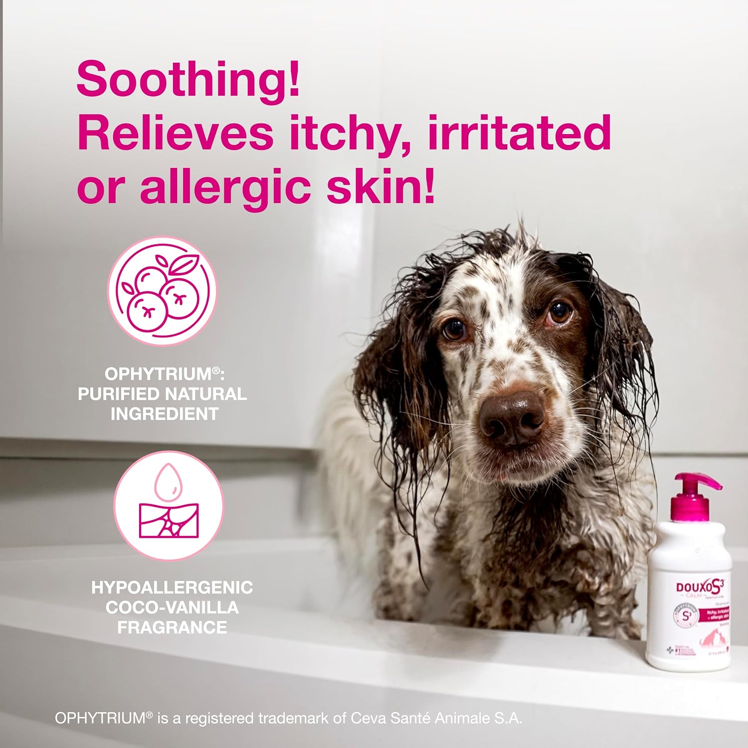 Douxo S3 Calm Dog Shampoo for Itchy Skin Relief, Dog Shampoo for Allergies and Itching, Soothes Itchy, Irritated or Allergic Skin For Dogs and Cats, 6.7 fl oz