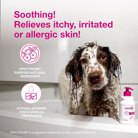 Douxo S3 Calm Dog Shampoo for Itchy Skin Relief, Dog Shampoo for Allergies and Itching, Soothes Itchy, Irritated or Allergic Skin For Dogs and Cats, 6.7 fl oz