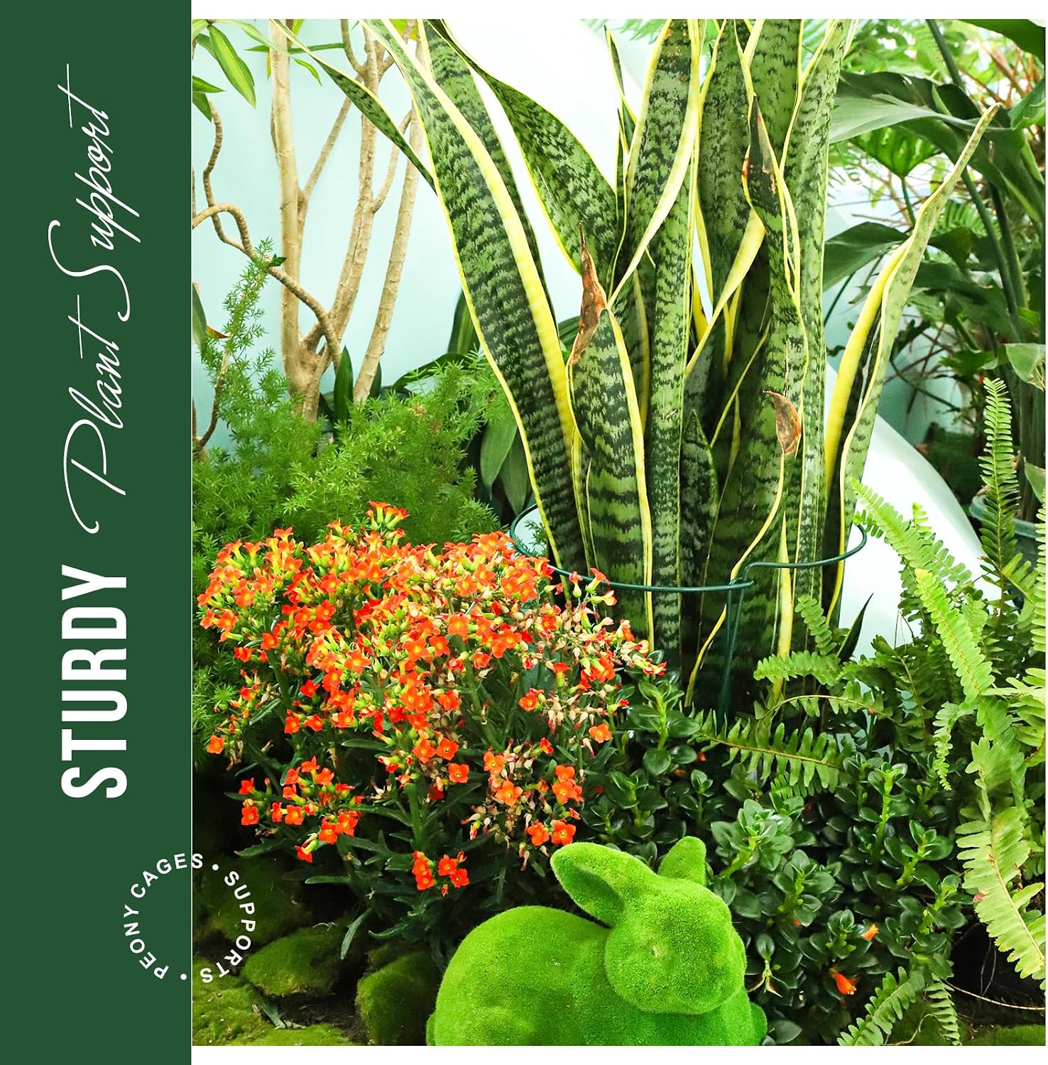 LEOBRO Plant Support Plant Stakes, 12pcs Peony Cages and Supports, Metal Garden Stakes Plant Supports, Plant Support Stakes, for Peony, Tomato, Hydrangea, Indoor Outdoor Plants, 10" W x 15.8" H