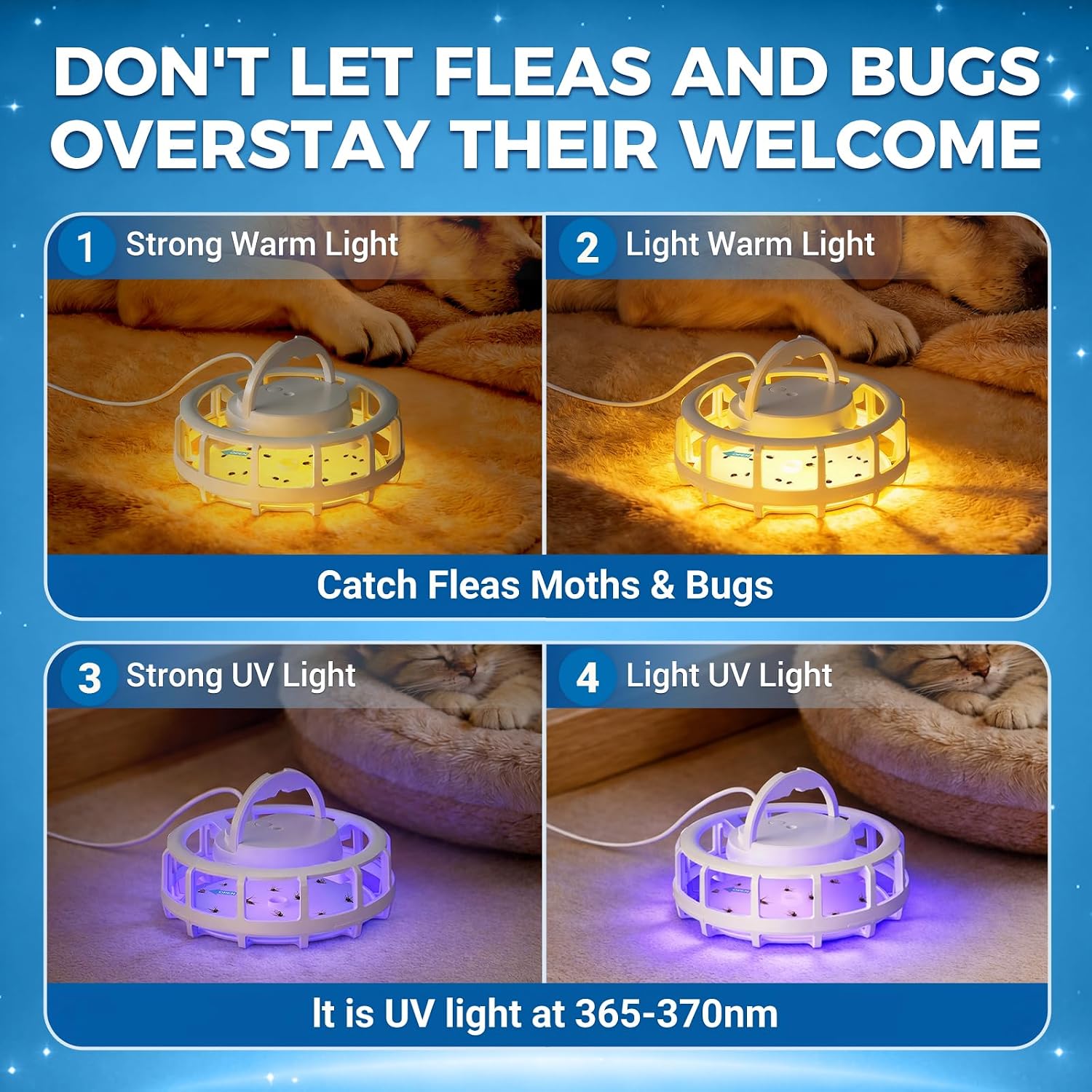 2-Pack Flea Trap with 6 Sticky Pads, Hanging Light Trap for Home