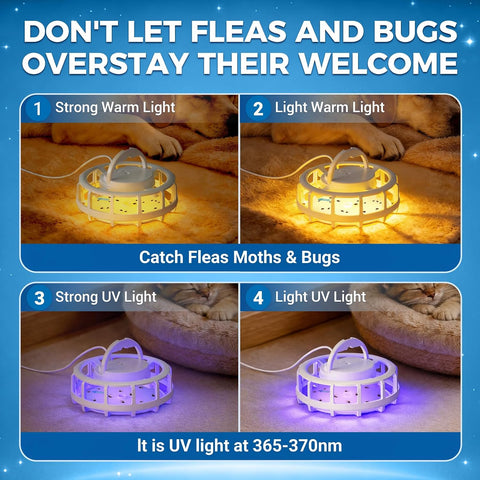 2-Pack Flea Trap with 6 Sticky Pads, Hanging Light Trap for Home