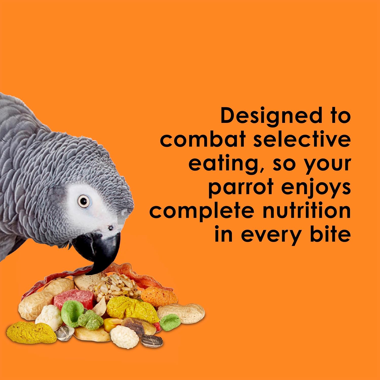 Kaytee Fiesta Parrot Food for Large Birds, 25 Pounds