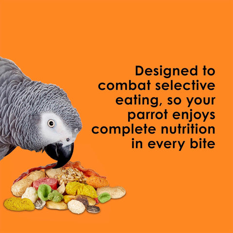 Kaytee Fiesta Parrot Food for Large Birds, 25 Pounds