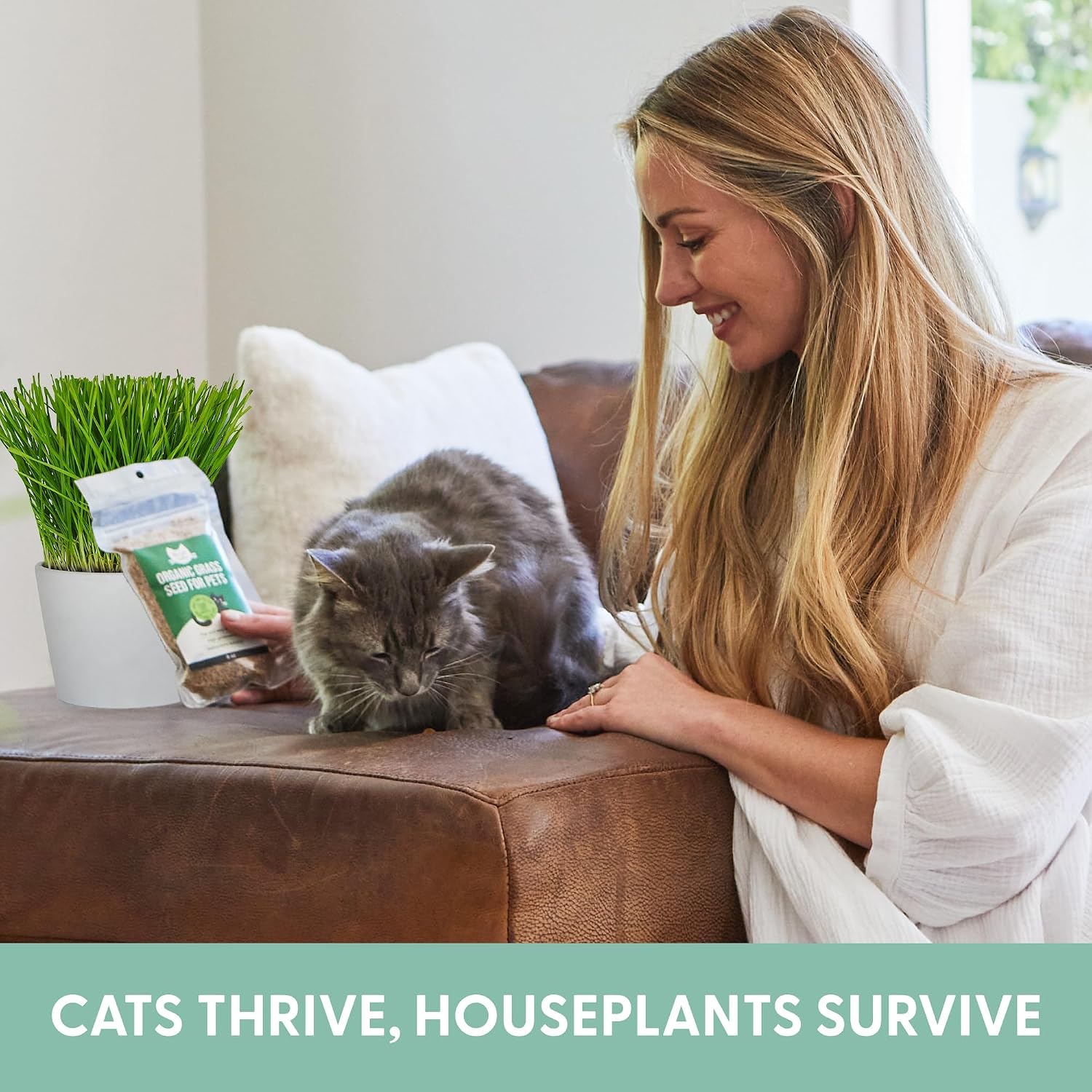 The Cat Ladies 100% Organic Cat Grass Seed (Non GMO) 16Ounce