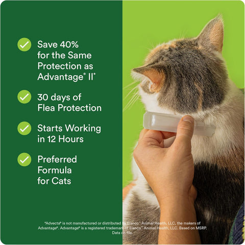 Advecta Plus Cat Flea Treatment 9+ lbs, Imidacloprid, 6-Month