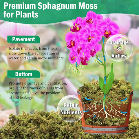 Riare 2.9LB Premium Sphagnum Moss for Plants- 65QT Natural Dried Plant Moss
