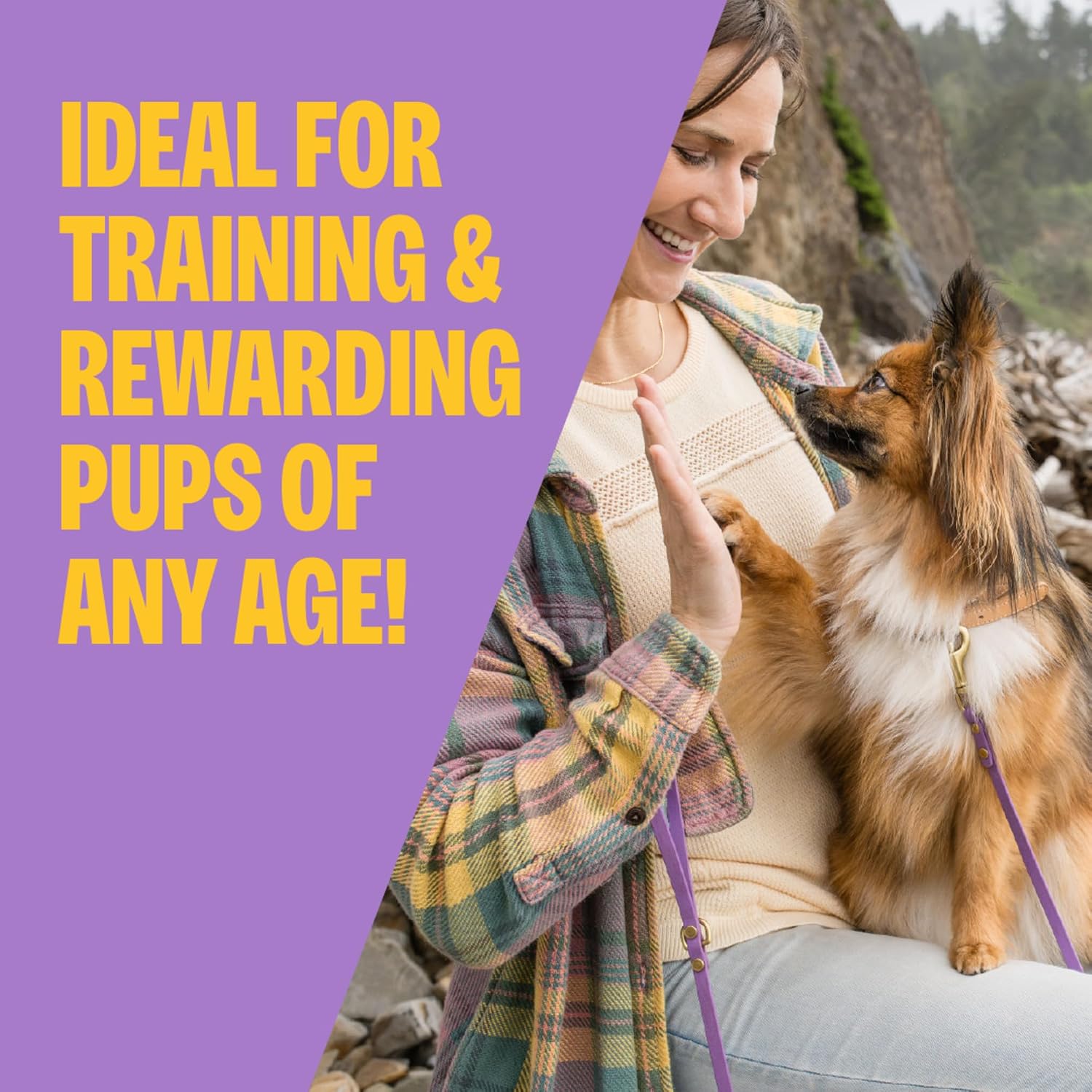 Wellness Soft Puppy Bites Dog Training Treats, Natural, Grain Free, Lamb and Salmon Recipe, 8 oz Bag