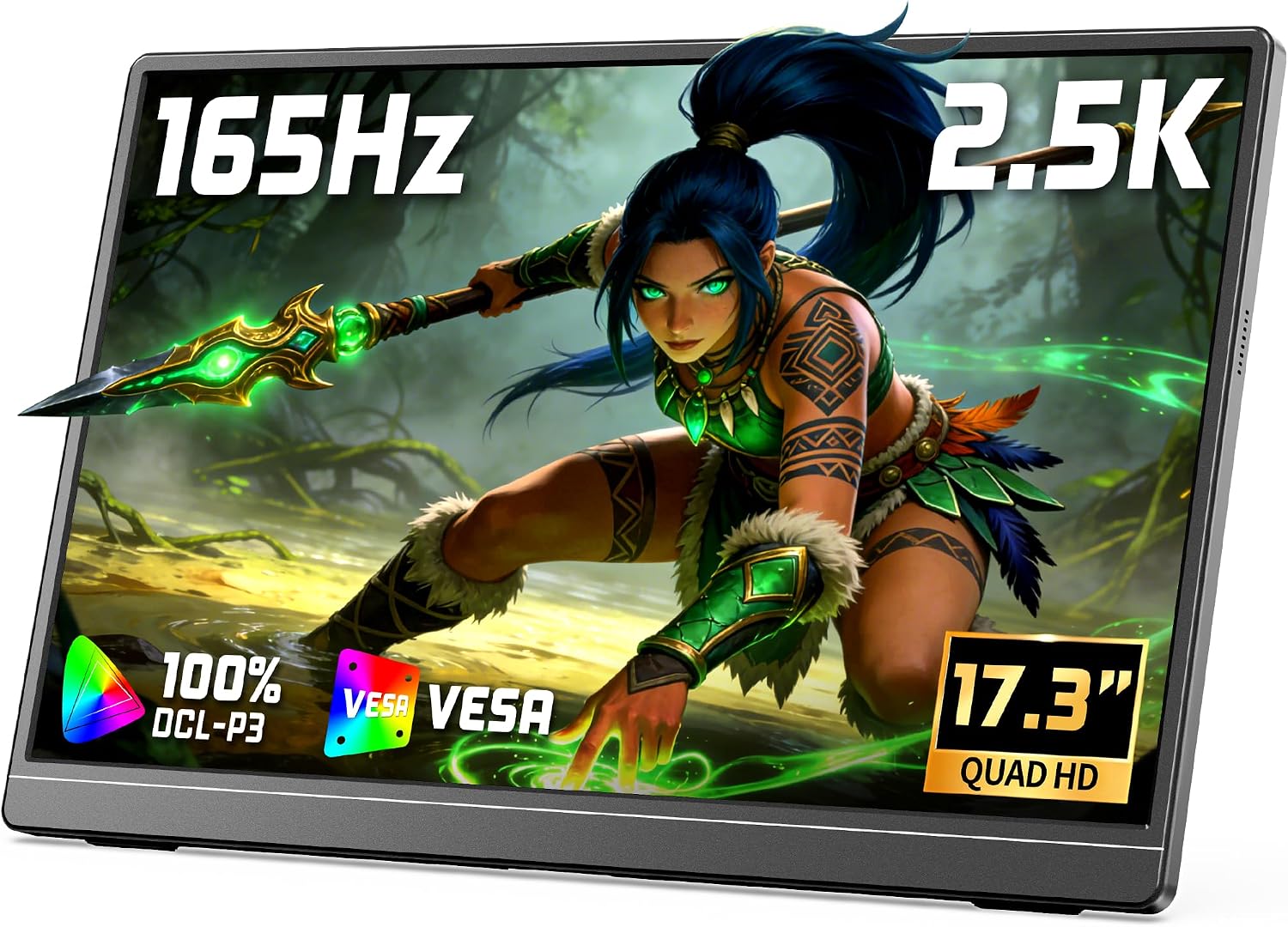VILVA 17.3" QHD 165Hz USB-C HDMI Gaming Monitor