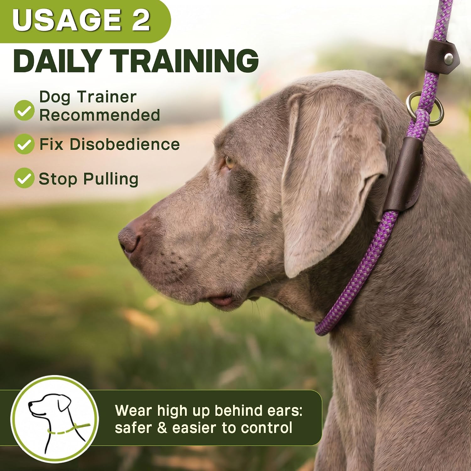 Fida Durable Slip Lead Dog Leash, 6 FT x 1/2" Dog Training Leash, Purple