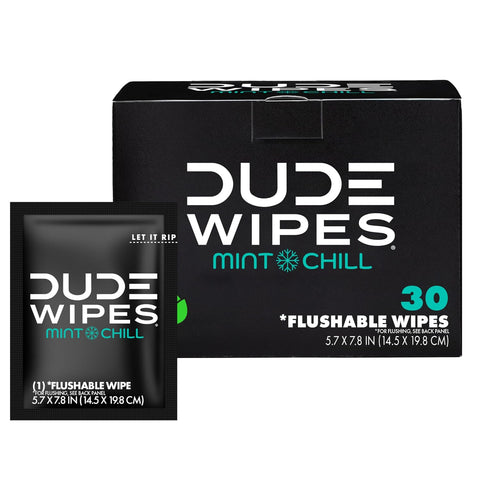 DUDE Wipes On-The-Go Mint Chill Adult Flushable Travel Wipes, 30 Count
