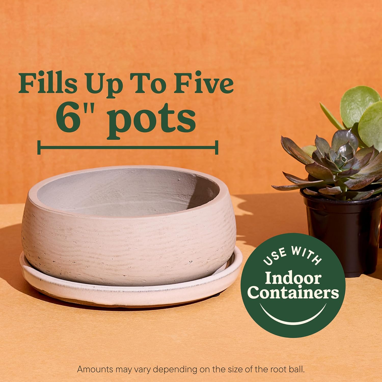 Miracle-Gro Indoor Potting Mix for Cactus & Succulent, 8 qt. (2-Pack)