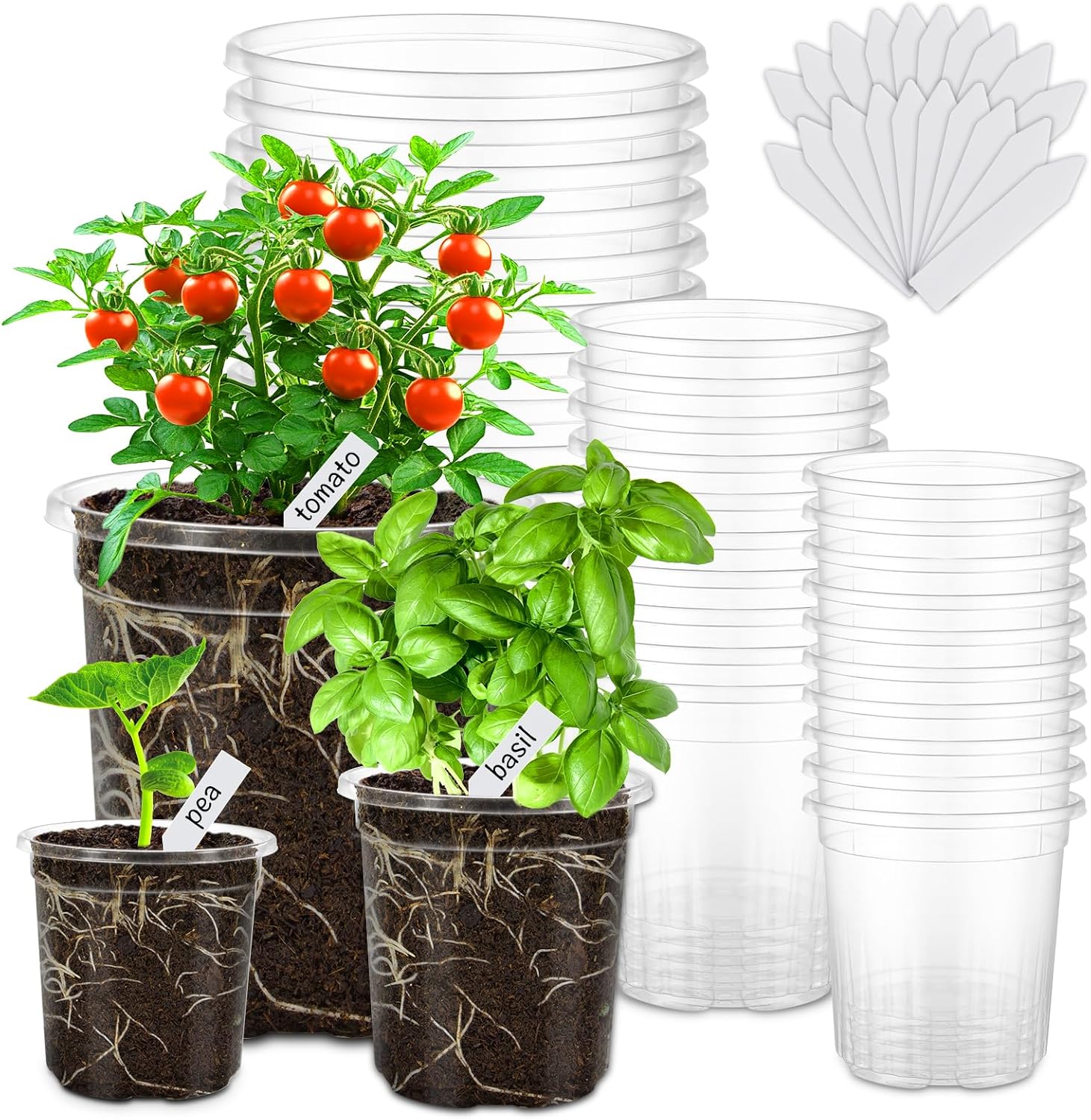 30 Pack 6.5/5/4 In Clear Nursery Plant Pots with Drainage Holes, 20 Labels