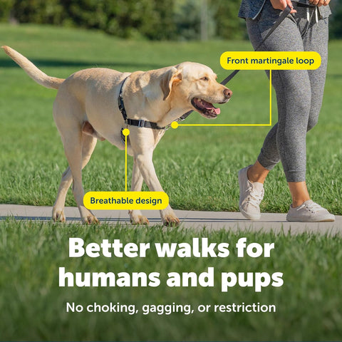 PetSafe Easy Walk Harness, No Pull Dog Harness, Raspberry, Large