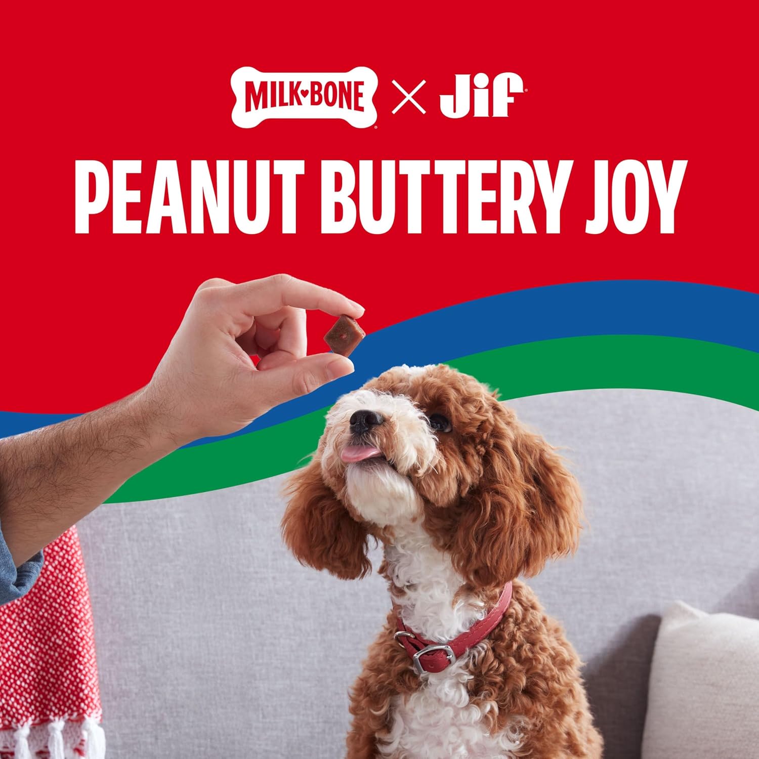 Milk-Bone Peanut Buttery Bites, Soft Dog Treats with Jif Peanut Butter & Real Bacon, 4.5 Oz. Bags (Pack of 2)