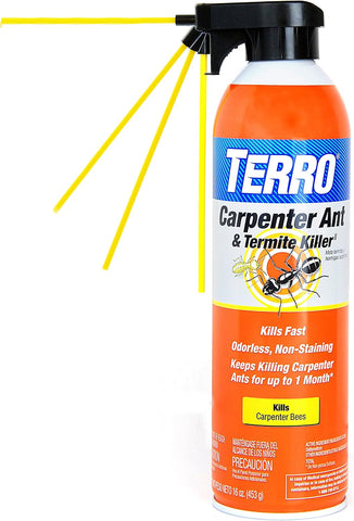 TERRO Ready to Use Indoor and Outdoor Carpenter Ant, Termite, and Carpenter Bee Killer Aerosol Spray - T1901SR - 2 Pack, 32 Total Ounces