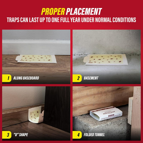 Catchmaster Roach Traps Indoor 6 Pack, Sticky Glue Board Cockroach Traps