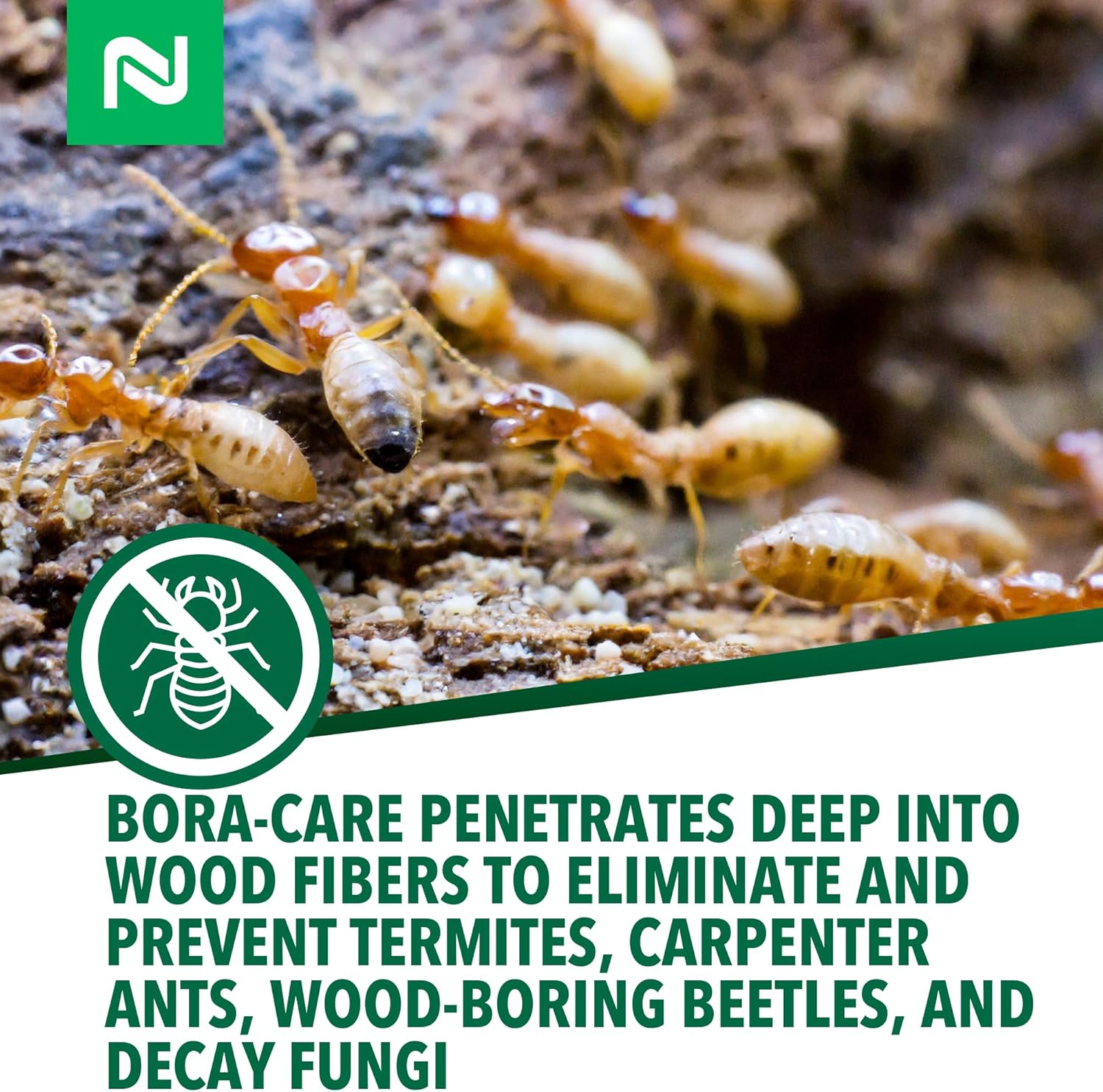 Bora-Care Termiticide Insecticide and Fungicide Concentrate, Wood Treatment for Termite and Beetle Prevention, 1 Gallon