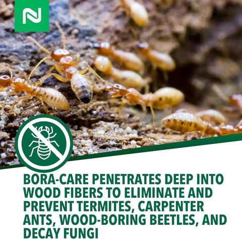 Bora-Care Termiticide Insecticide and Fungicide Concentrate, Wood Treatment for Termite and Beetle Prevention, 1 Gallon