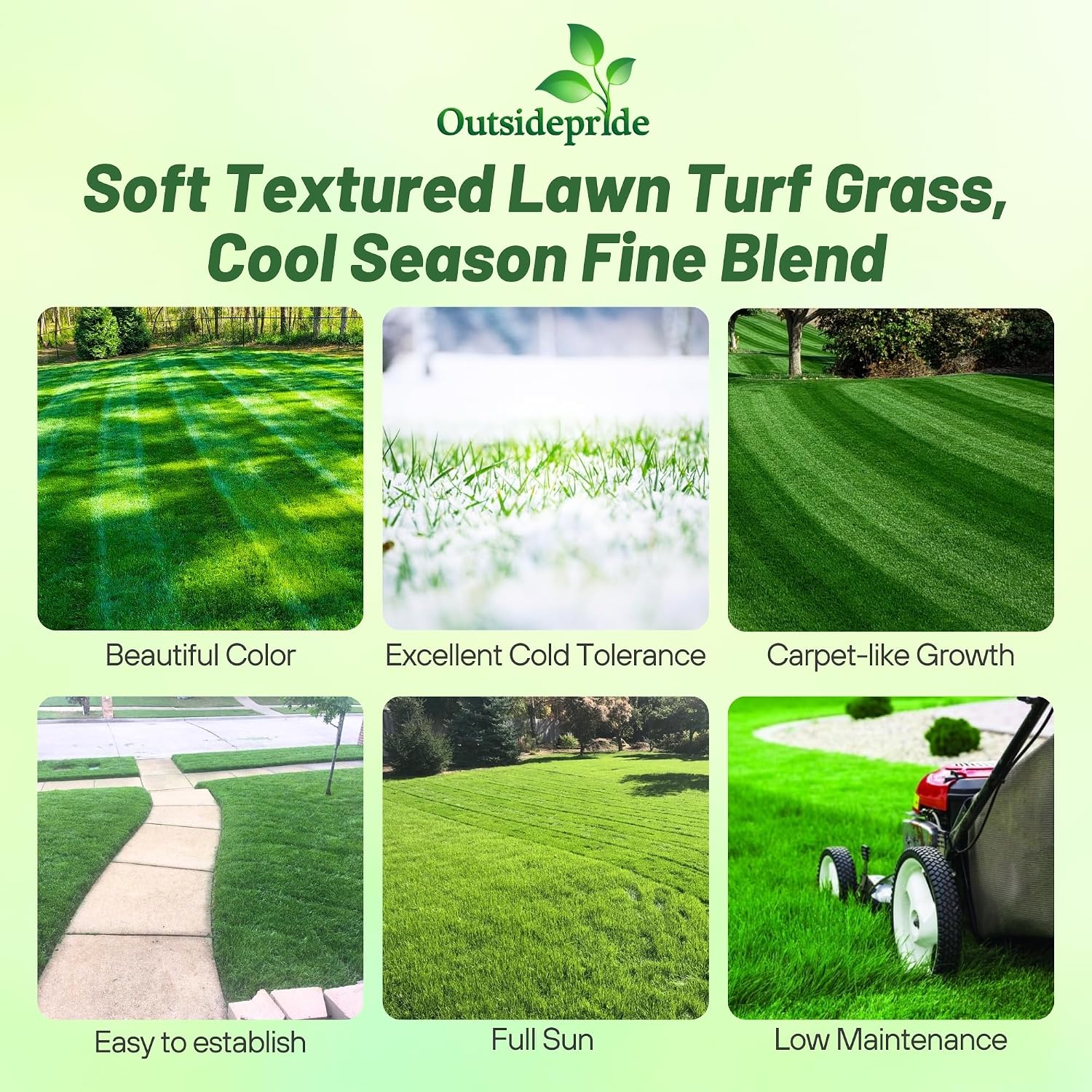 Outsidepride Midnight Kentucky Bluegrass Seed - 25 Lbs. Cold & Drought Tolerant, Sun-Loving Lawn Grass Seed, w/High Traffic Tolerance & Deep Root System, OptiGrowth Coated for Better Establishment