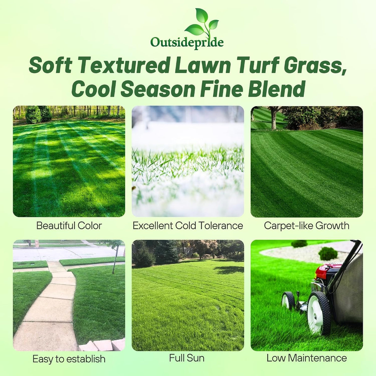 Outsidepride Midnight Kentucky Bluegrass Seed - 25 Lbs. Cold & Drought Tolerant, Sun-Loving Lawn Grass Seed, w/High Traffic Tolerance & Deep Root System, OptiGrowth Coated for Better Establishment