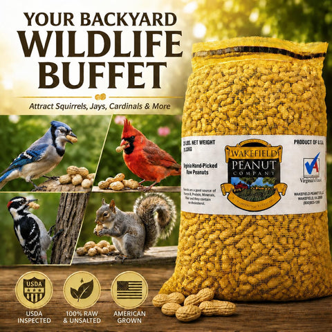 Wakefield Premium Virginia Peanuts in-Shell for Squirrels, Blue Jays & Wildlife - 6 LB Bag - Hand-Picked, Raw, Unsalted, High Protein Wild Bird & Animal Feed