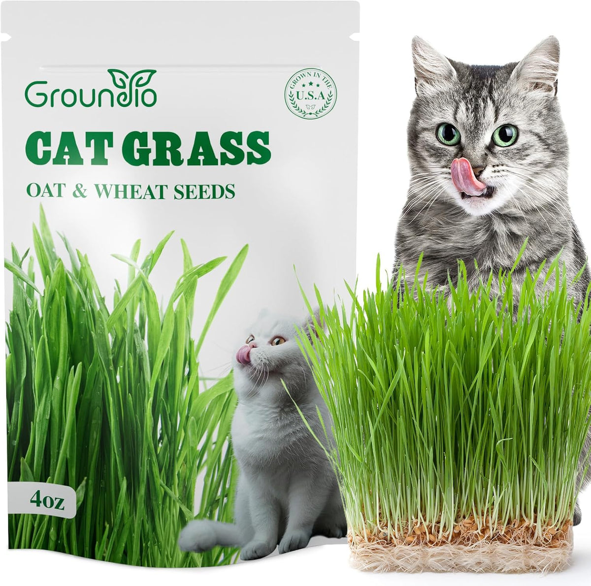 Cat Grass Seeds, 4 OZ, Wheat & Oat Seeds Mix