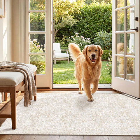 Sasttie 3x5 Area Rugs, Ultra-Soft Washable Rug for Living Room, Cream