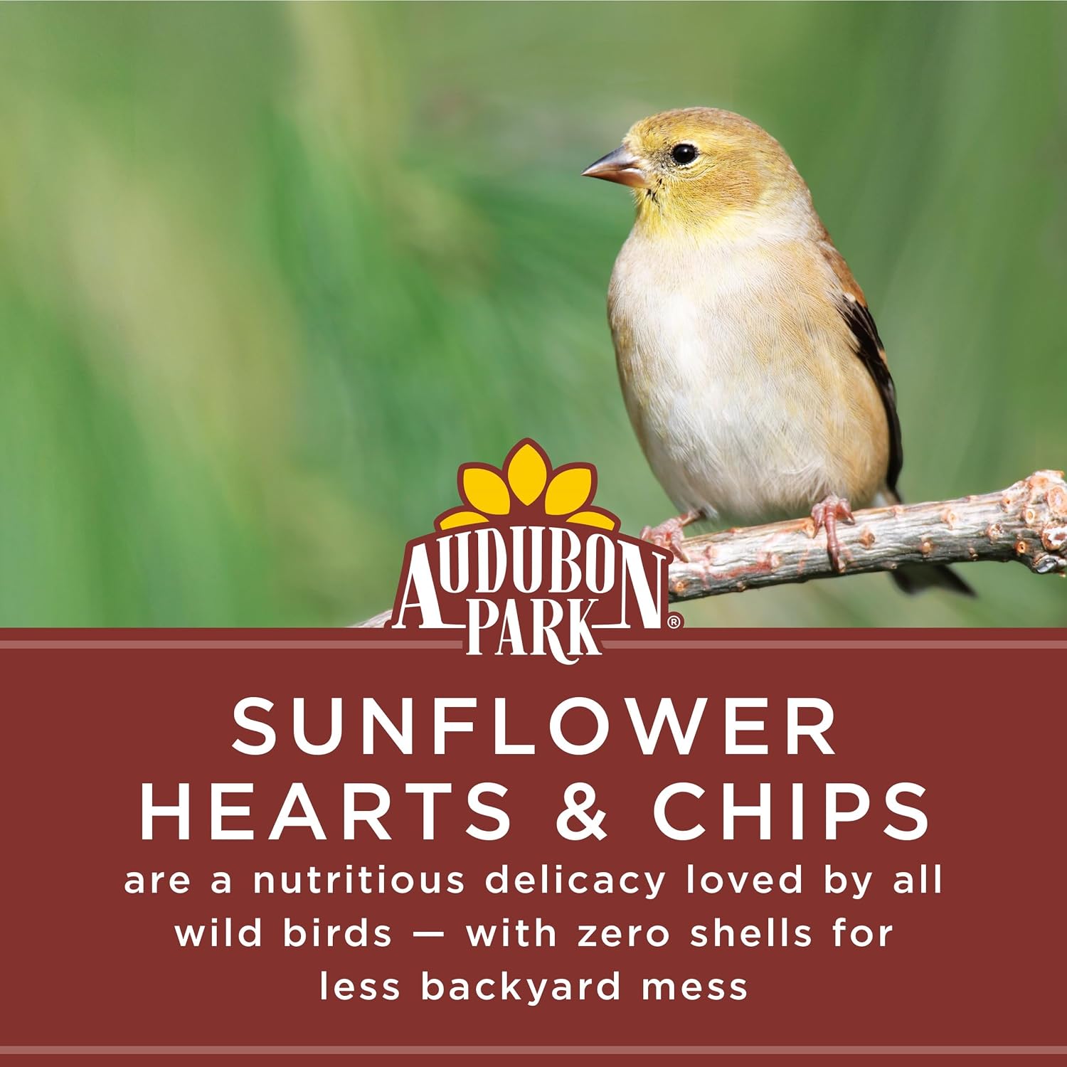 Audubon Park Sunflower Hearts & Chips Wild Bird Food, No Mess Sunflower Seeds for Birds, 5-Pound Bag (Pack of 4)