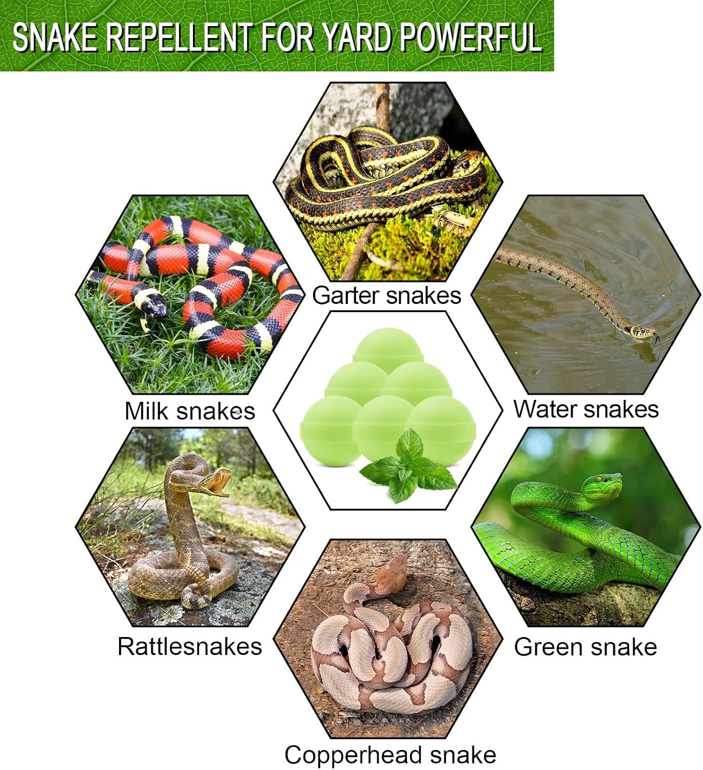 50 Pack Snake Be Gone for Yard Powerful Pet Safe