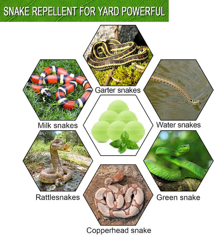 50 Pack Snake Be Gone for Yard Powerful Pet Safe