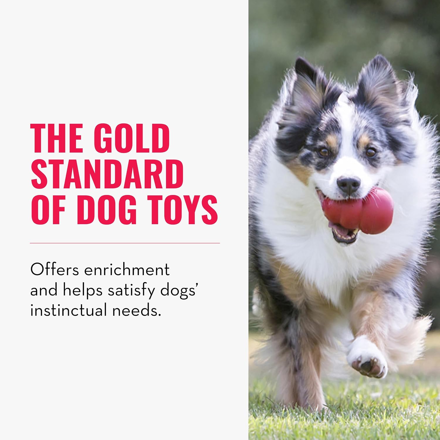 KONG Classic Stuffable Dog Toy, Natural Rubber Chew, for Large Dogs