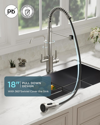 FORIOUS Kitchen Faucet with Purfied Water Filter, 2 Handle, Brushed Nickel