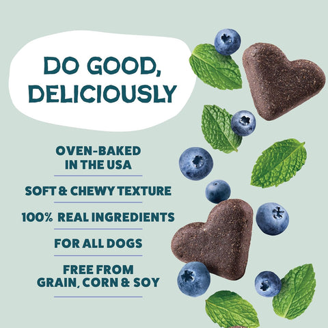 Shameless Pets Soft-Baked Dog Treats, Blueberried Treasure - Natural & Healthy Dog Chews with Mint for Immune Support - Made in USA, Free from Grain, Corn & Soy - 6-Pack