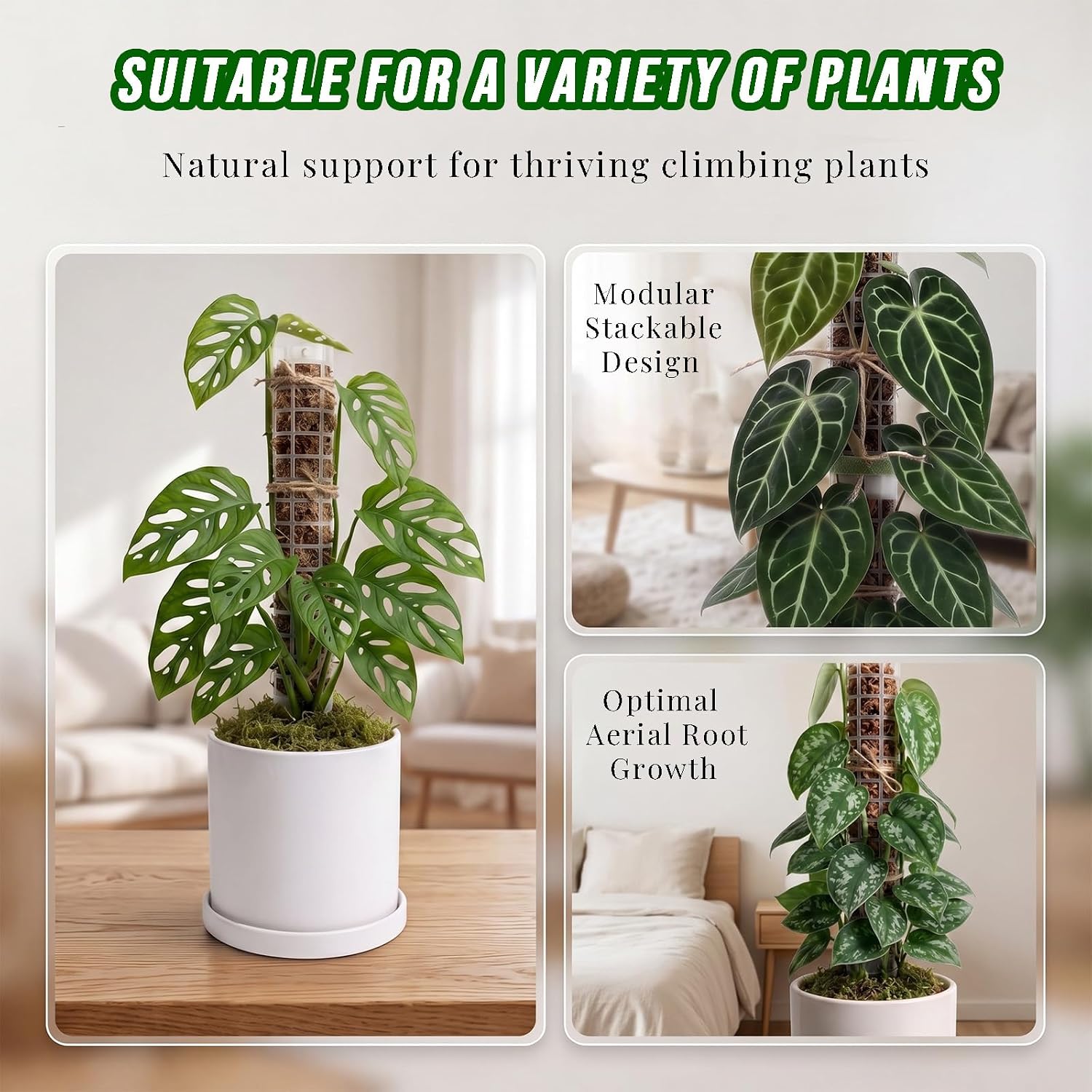 Small Moss Pole for Monstera, Plastic Moss Poles for Climbing Plants Indoor