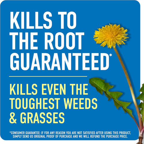 Roundup Weed & Grass Killer4 Concentrate, 1 gal.