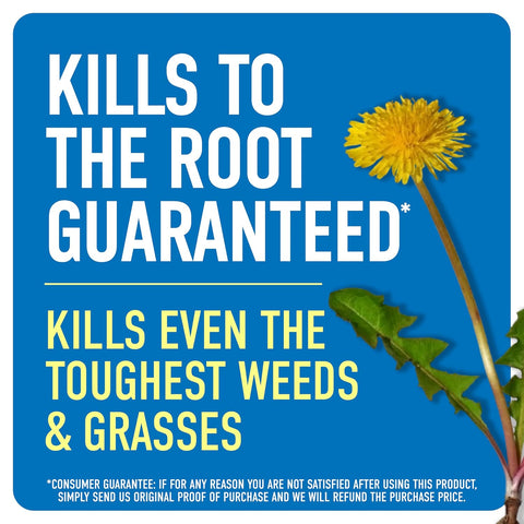 Roundup Weed & Grass Killer4 with Pump 'N Go 2 Sprayer, 1.33 gal.
