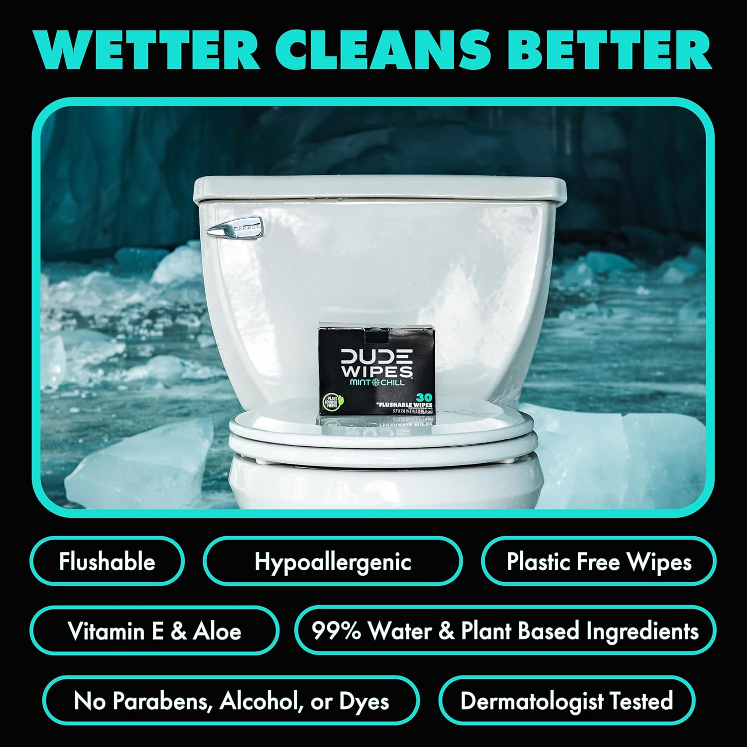 DUDE Wipes On-The-Go Mint Chill Adult Flushable Travel Wipes, 30 Count