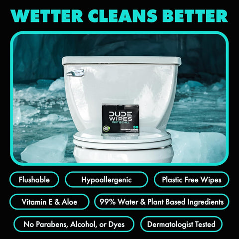 DUDE Wipes On-The-Go Mint Chill Adult Flushable Travel Wipes, 30 Count