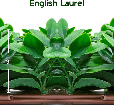 NatraHedge 20''X50'' Artificial Privacy Grass Wall Decor, Laurel Leaf