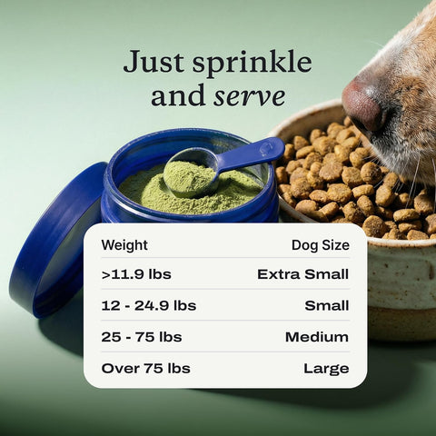 PetLab Co. ProBright Dental Powder for Small Dogs, 30 Scoops
