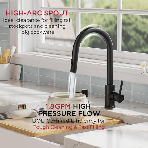 FORIOUS Kitchen Faucet, 2-Mode Pull Down Sprayer, Classic Matte Black