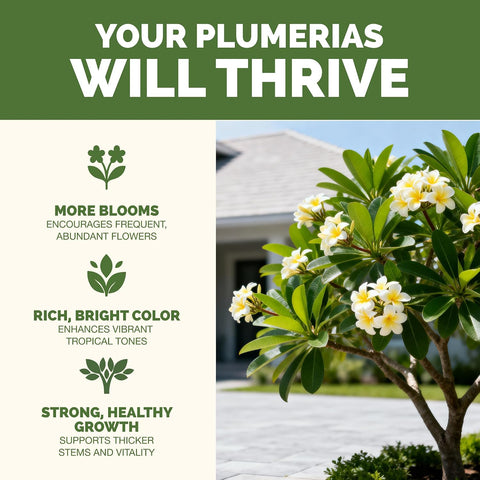 Plumeria Fertilizer – Liquid Plant Food for More Blooms & Growth, 1 Gallon