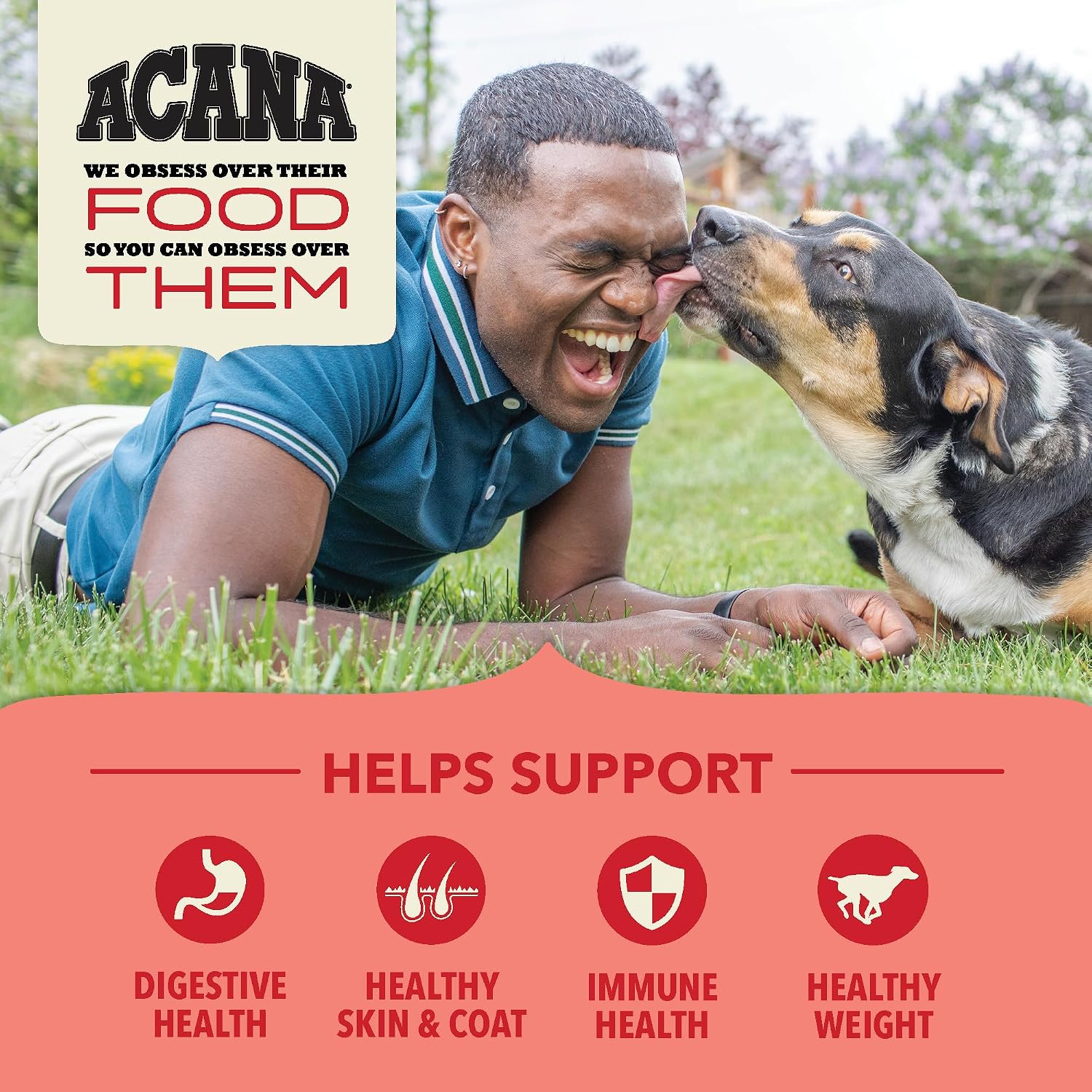 ACANA Wholesome Grains Dry Dog Food Red Meat & Grains 22.5lb Bag