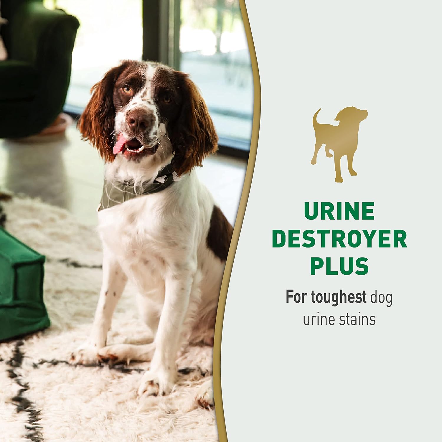 Nature's Miracle Dog Urine Destroyer Plus, Enzymatic Cleaner, 32 oz